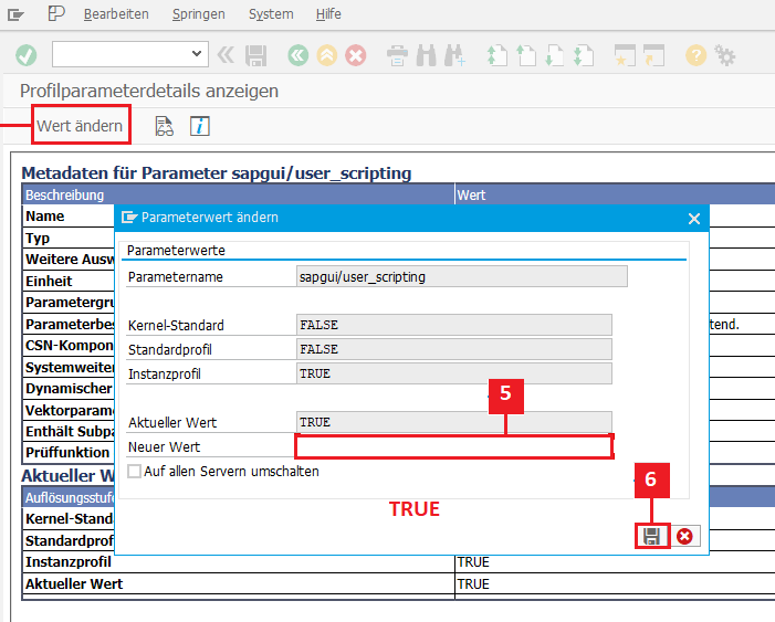 sap-scripting2